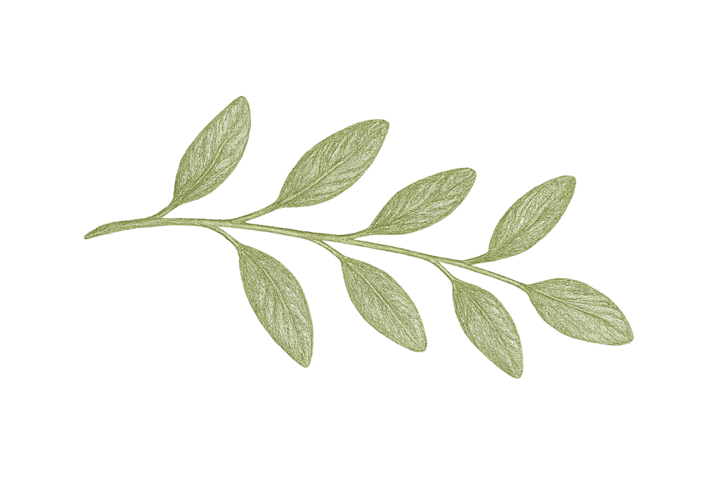 eukalyptus